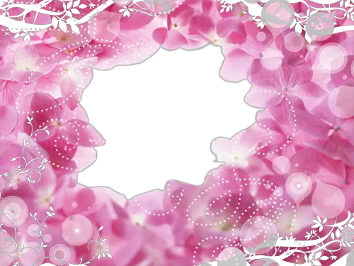 Marco de fotos - Agujero en flores de color rosa