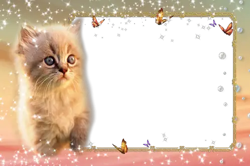 Foto rámeček - Roztomilý načechraný kotě