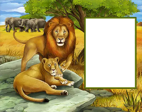 Photo frame - Lions in wild nature