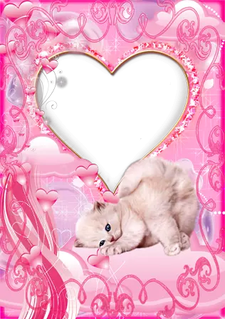 Photo frame - Lovely kitten