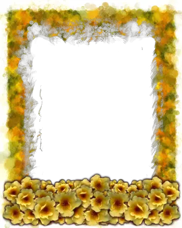 Foto rámeček - Luční květy