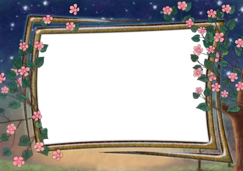 Foto rámeček - Noční květiny