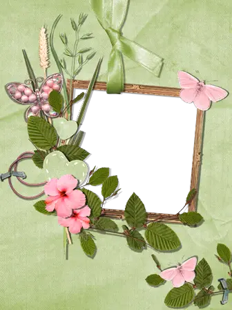Photo frame - Pink butterflies