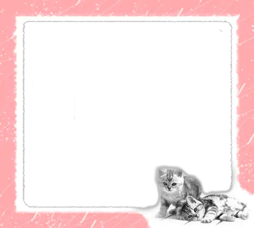 Фоторамка - Розовые кошки