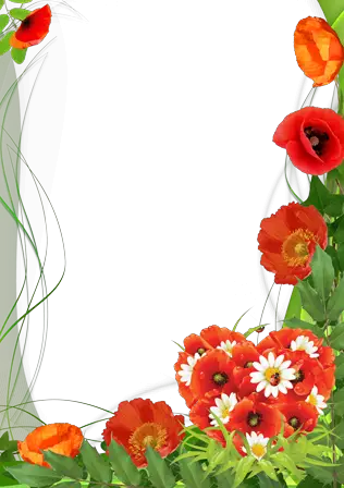 Cadre photo - Poppies couleur de l'amour