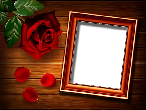 Cadre photo - Rose sur la table