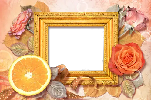 Marco de fotos - Rosas y naranja
