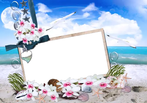 Foto rámeček - moře květiny