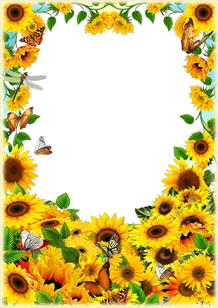 Marco de fotos - Sunflowers and butterflies