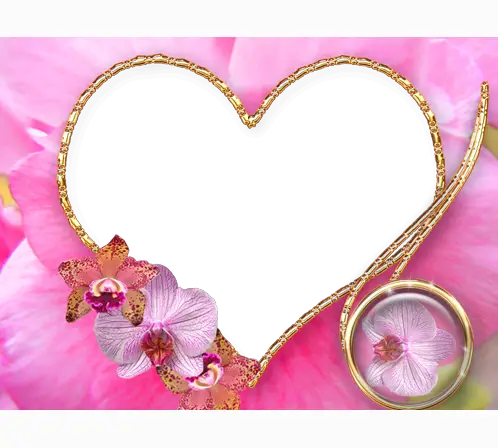 Foto rámeček - Valentýn. Růžové květiny srdce