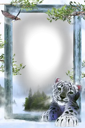 Foto rámeček - Bílý tygr