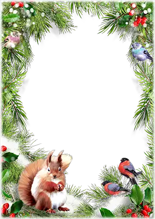 Cadre photo - Winter frame with a squirrel