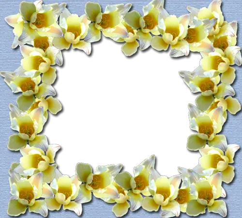 Cadre photo - Frontière de fleurs jaune