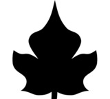 Template - Leaf 2