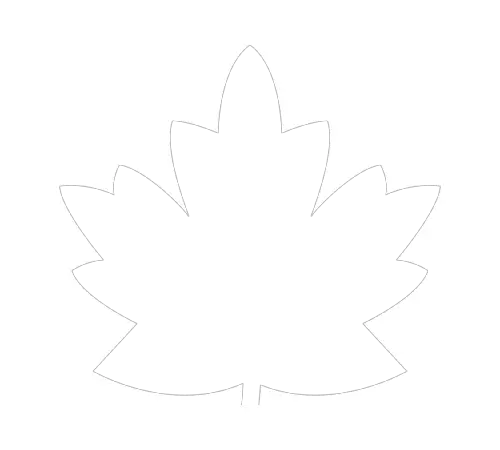 Your photos - Photo in a shape of a maple leaf