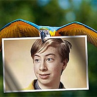 Effect - Parrot flying with a photo