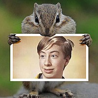 Foto efecto - Rodent eating your photo