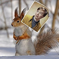 Foto efecto - Squirrel on the demonstration in a snowy forest