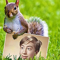 Efekt - Squirrel on the green grass
