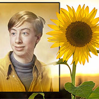 Фотоэффект - Sunflower and sunrise