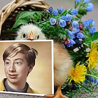 Effet photo - Tiny chick with a basket of flowers