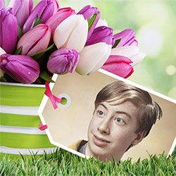 Foto efecto - Tulipanes hermoso para usted