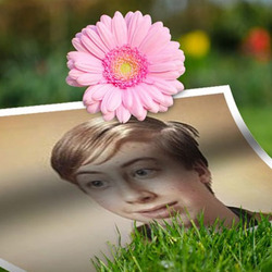 Foto efecto - Sobre la hierba debajo de la flor
