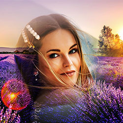 Effet photo - Sunset over lavender field