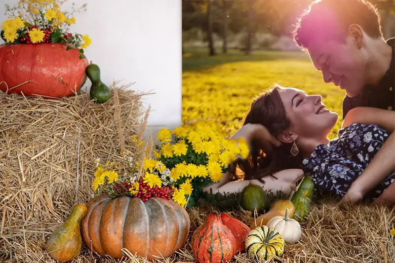Efeito de foto - Autumnal pumpkins