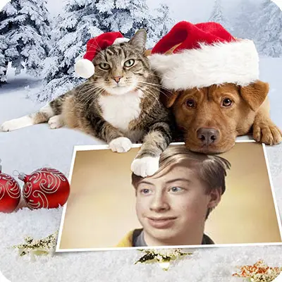 Photo effect - Dog and cat wish a Merry Christmas