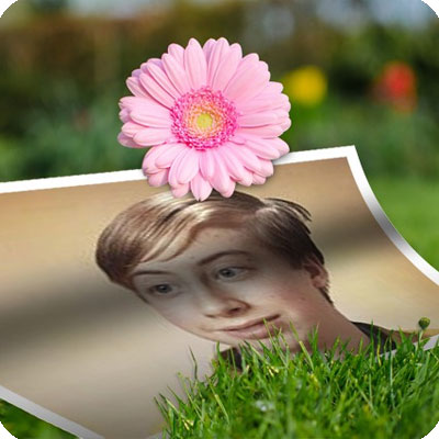 Efeito de foto - Na grama sob a flor