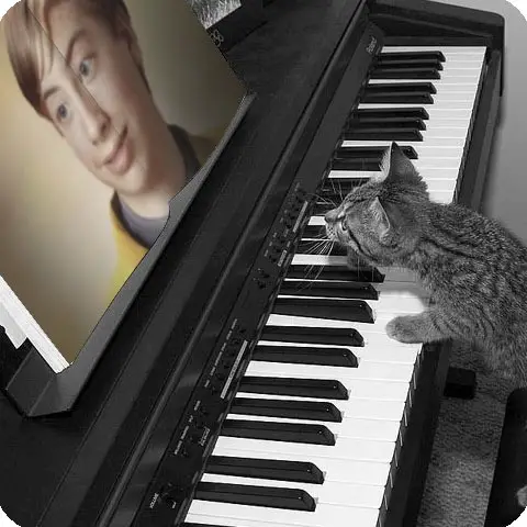 Foto efecto - Piano en un gatito