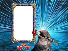 Add actions to your photos with our animated photo frames - LoonaPix
