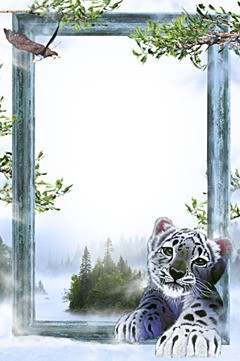 White tiger