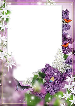 A fragrant lilac bush