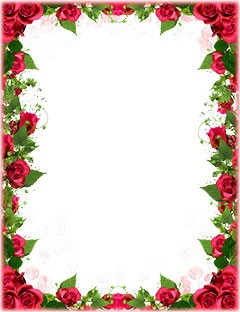 Red roses border