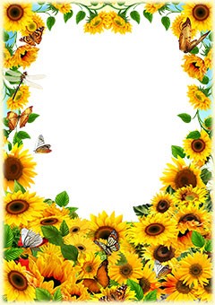 Sunflowers and butterflies