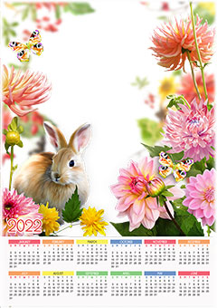 Calendar 2022. Cute rabbit