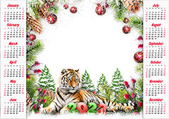 Calendar 2022. Esteemed tiger