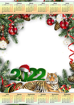 Calendar 2022. Tiger symbol of the year