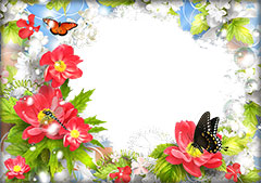 Bright flowers and butterfly