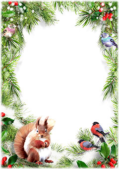 Winter frame with a squirrel