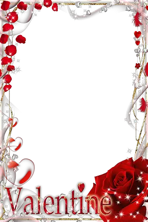 Marcos de fotos. Red rose on Valentines Day