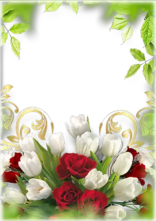 Photo frames. Bouquet of the bright spring flowers