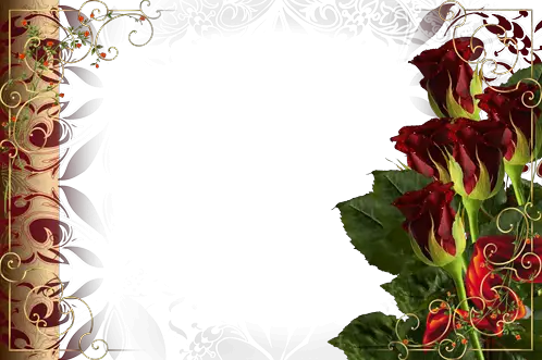 Molduras para fotos - Rosas adoráveis