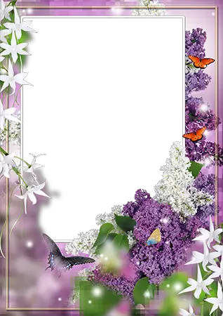 Photo frame - A fragrant lilac bush