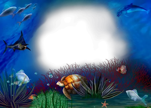 Cadre photo - Beauté du monde sous-marin