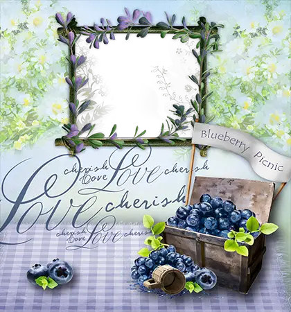 Photo frame - Blueberry picnic