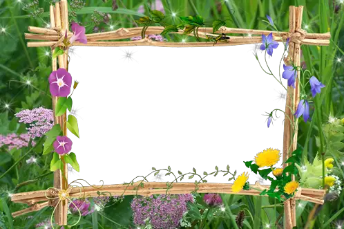 Photo frame - Bright grass