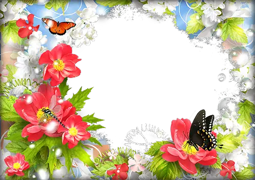 Photo frame - Bright flowers and butterfly